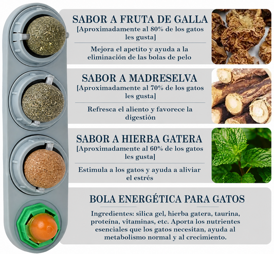 Dale a Tu Gato Una Mejor Calidad De Vida 🌱
