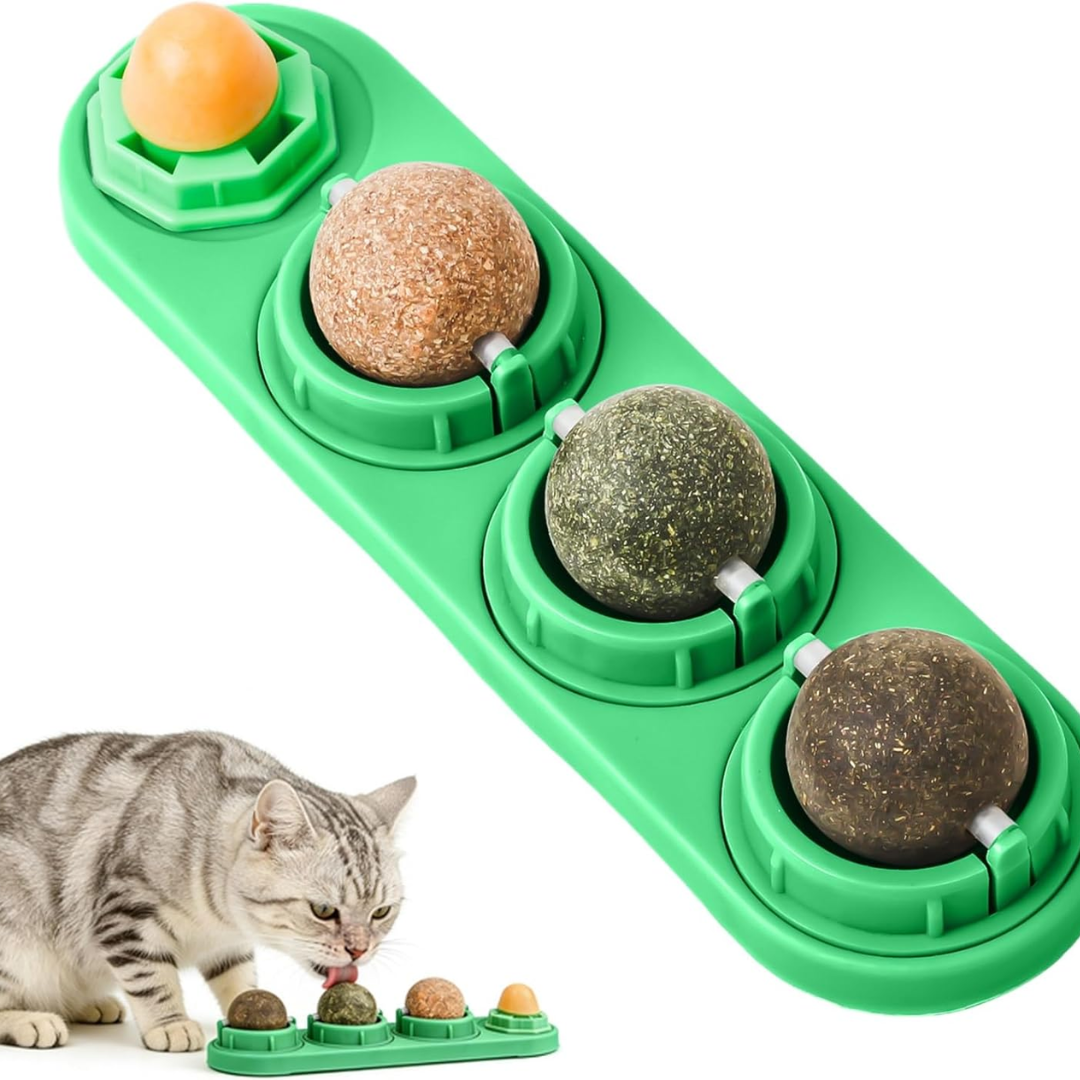 Dale a Tu Gato Una Mejor Calidad De Vida 🌱