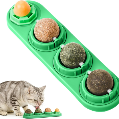 Dale a Tu Gato Una Mejor Calidad De Vida 🌱