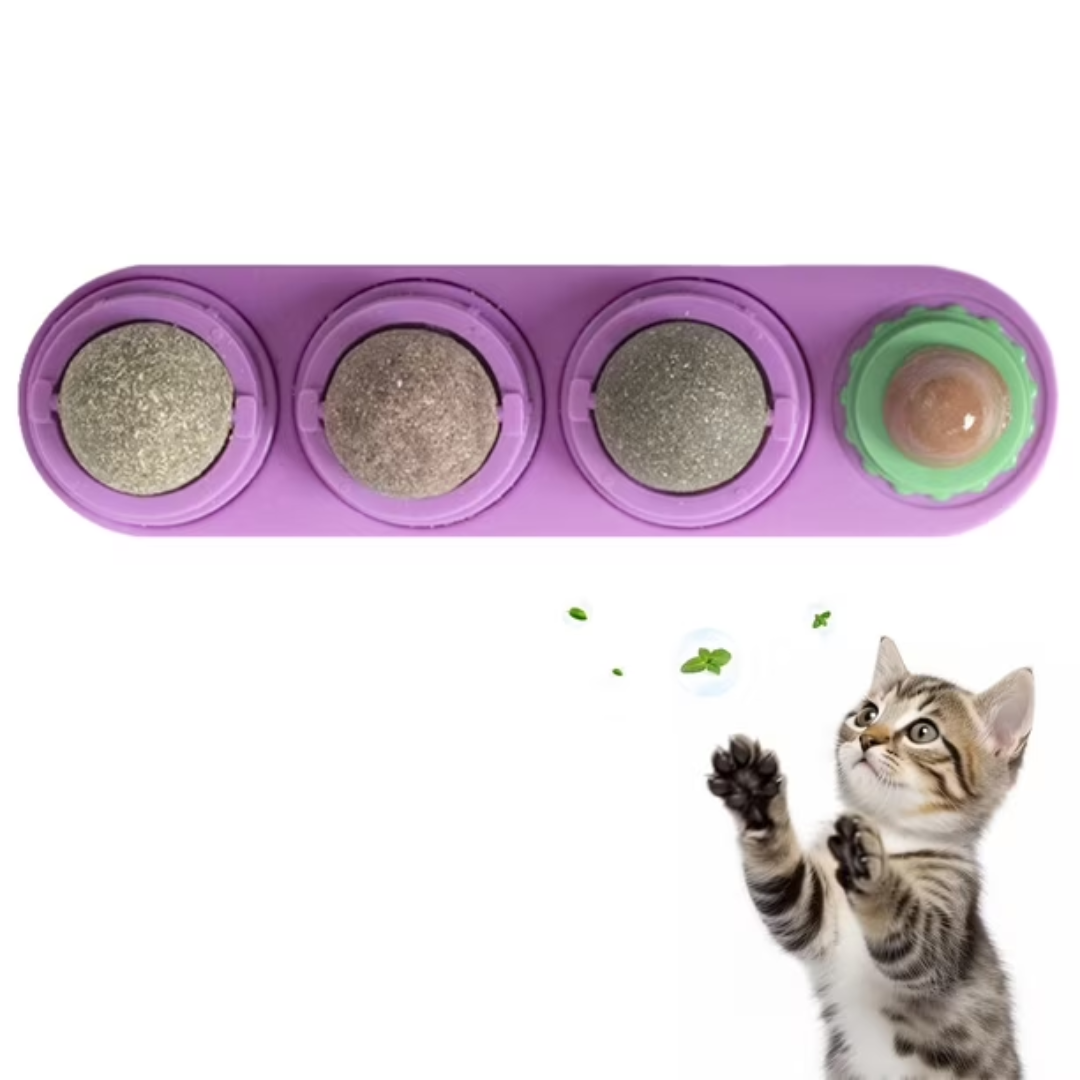Dale a Tu Gato Una Mejor Calidad De Vida 🌱