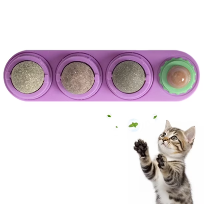 Dale a Tu Gato Una Mejor Calidad De Vida 🌱